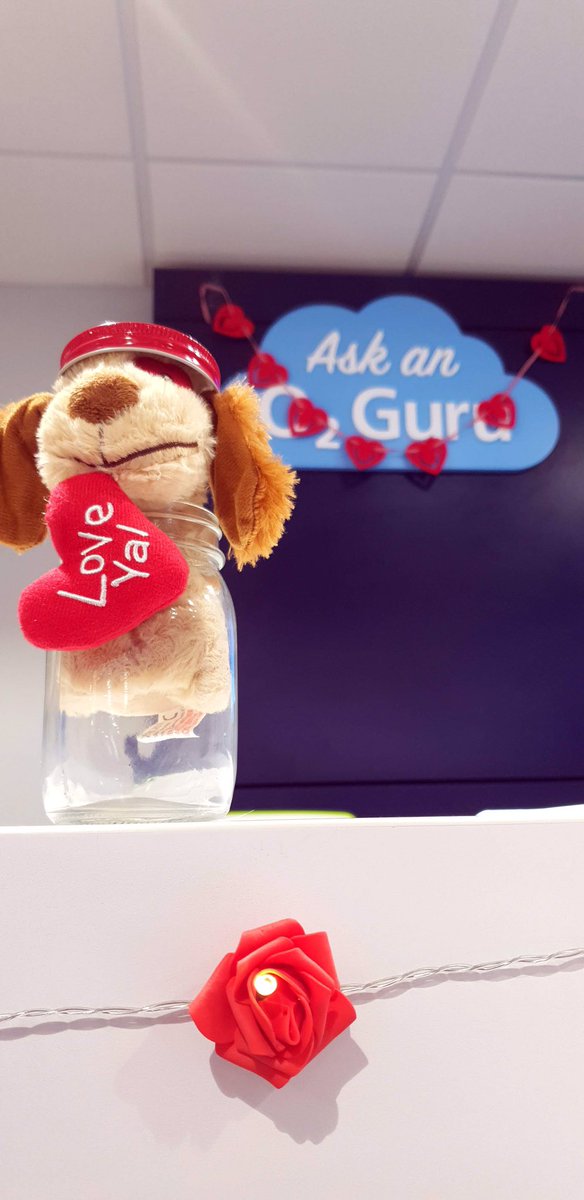 O2GuruMike's tweet image. We’ve got the #O2Macclesfield store all dressed up and ready for the most romantic day of the year! Thought I’d use the opportunity to play around with the settings on the pro camera on my #SamsungNote9 to capture these photos. Pop into store today to find out more💙