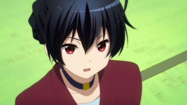 Twitter 上的トラタク 声優好き 十花さんお誕生日おめでとう 小鳥遊十花生誕祭19 小鳥遊十花生誕祭 小鳥遊十花 2月15日は 小鳥遊十花の誕生日