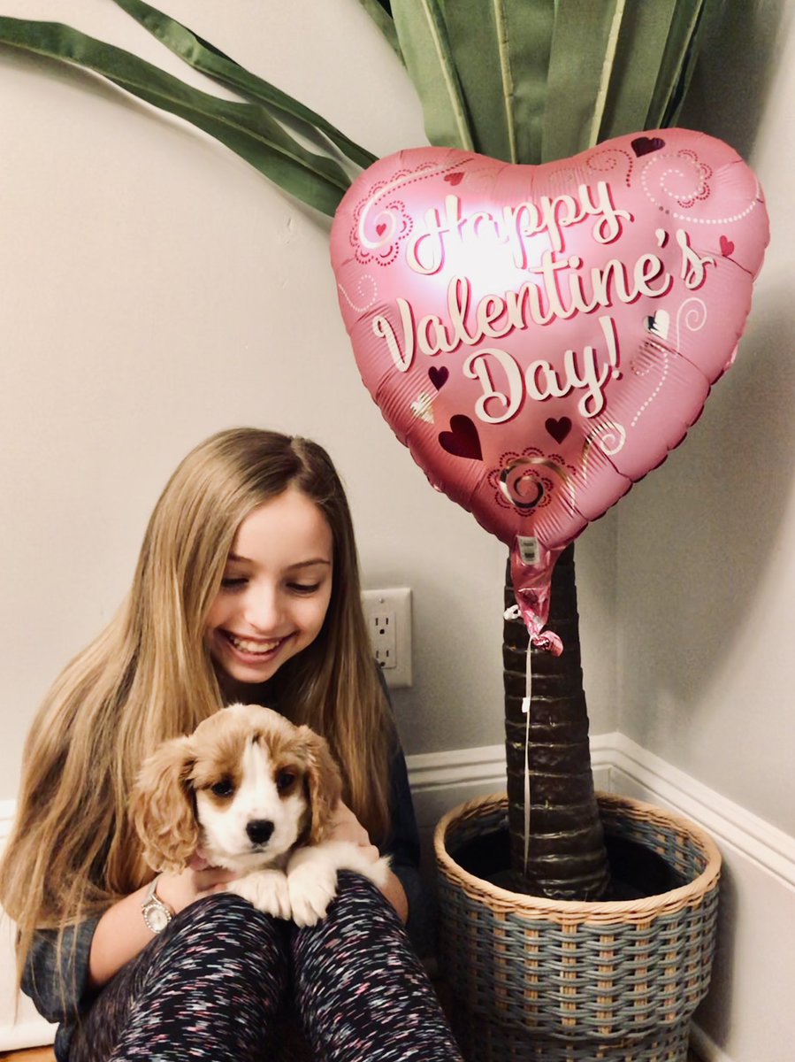Welcome to our home our new puppy Twyla. We love her so much. Happy Valentine’s Day!  #puppy #puppylove #cavapoo #cavapoolove #happyvalentinesday #valentinespuppy