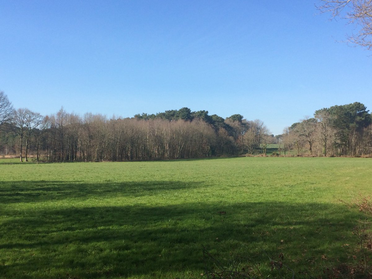 La nature attend le printemps pour sortir, le journaliste agricole aussi! #çapoussedeja