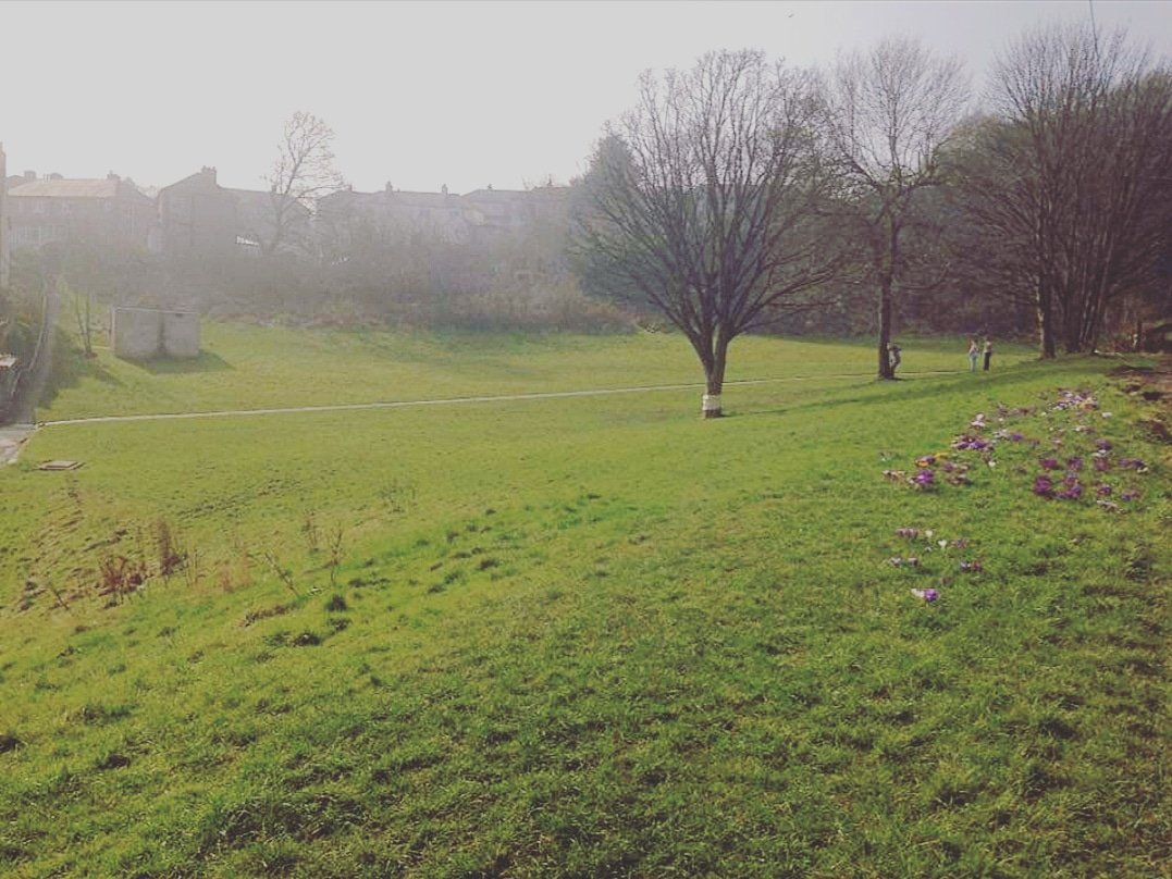 OSWMeadow's tweet photo. Does this look like brownfield scrubland @bradfordmdc, I don't thinks so. 🏃‍♂️Kids playing on a swing. 🌳Mature trees (now cut down unnecessarily). 🥀Flowers planted by locals. Now imagine a tower block as tall as those trees + car park from here to there. #saveourvaluedgreenspace https://t.co/6QUNCTJZZ0