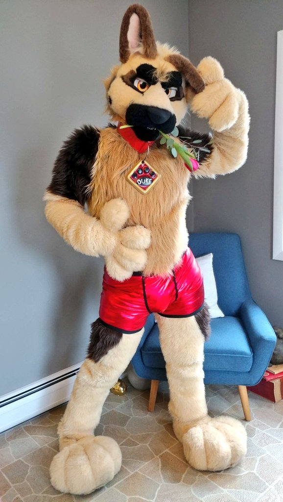 thatdancingdog's tweet photo. I only have one question today.
To my husband @Mozee
Will you be my Valentines? ❤️❤️ https://t.co/HrkRFHvOcX