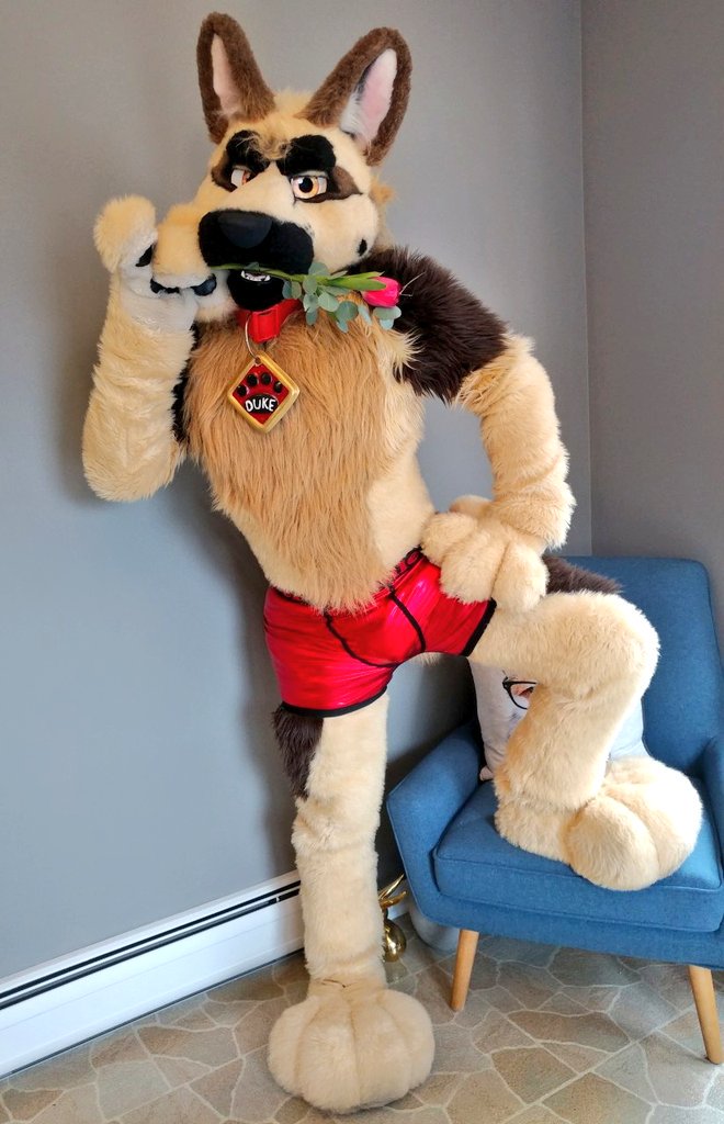 thatdancingdog's tweet photo. I only have one question today.
To my husband @Mozee
Will you be my Valentines? ❤️❤️ https://t.co/HrkRFHvOcX