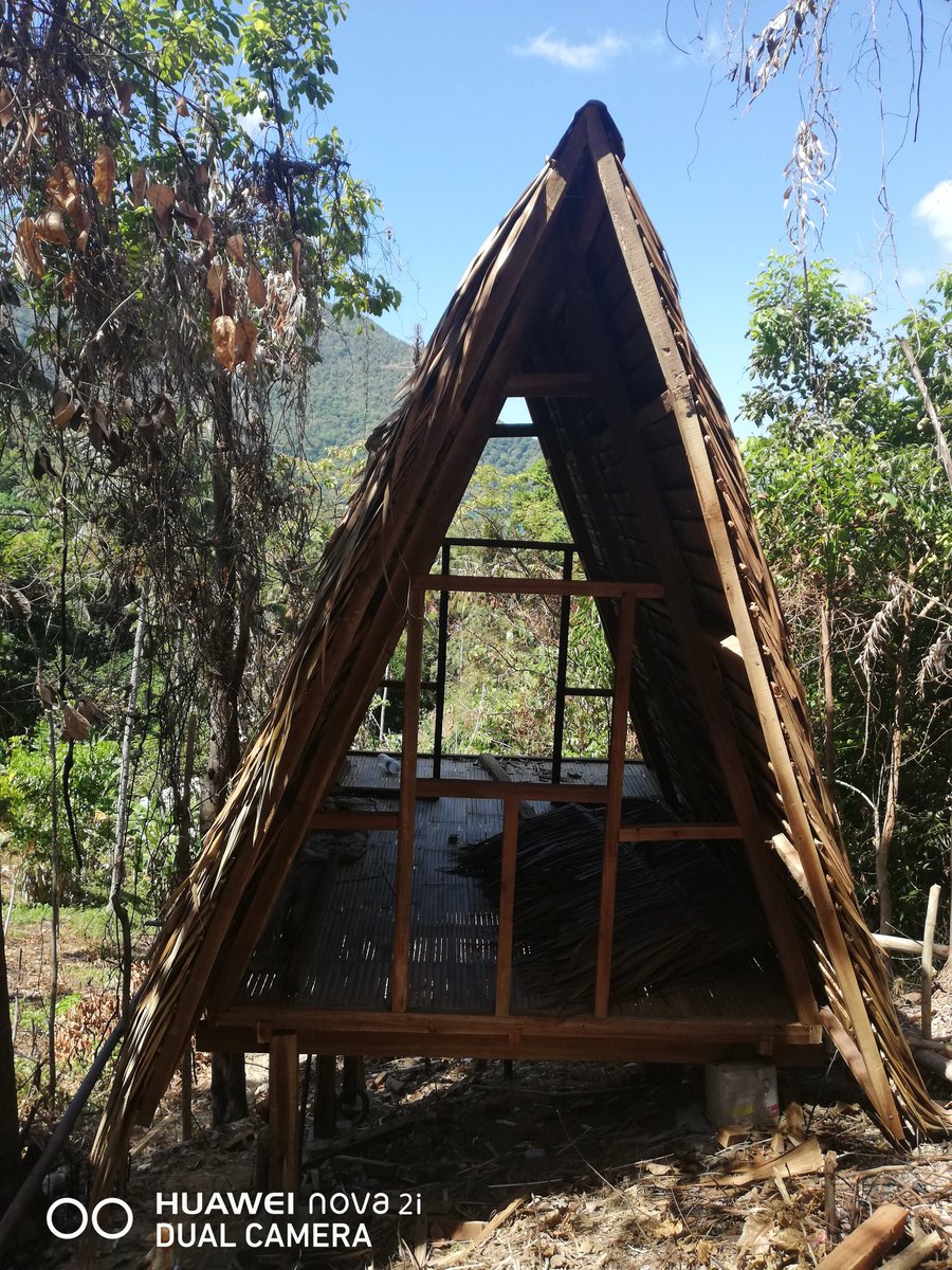 inn_forest's tweet photo. Forest Camp construction in full swing!🔨⚒️🔨 https://t.co/uOK46YrHJ3