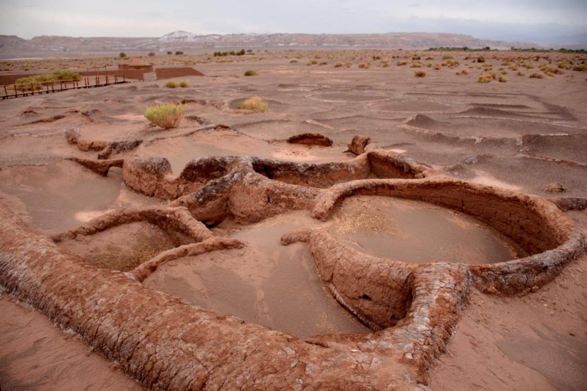 conaf_minagri's tweet image. Actualización estado Reserva Nacional Los Flamencos:▶️Aldea de Tulor, Valle de la Luna y sector Tambillo habilitados para la visitación▶️Miscanti Miñiques y Laguna Chaxa se encuentran cerrados por trabajos, se espera regularizar pronto. Respetar recomendaciones de guardparques.