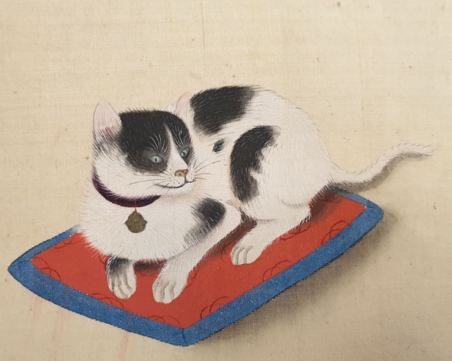 AsianLibraryNL's tweet photo. How about a cute Kitty to brighten up your day? 獣禽蟲写真(Jū kin chū shashin). Manuscript drawings of insects, birds and four-footed mammals. Author unknown, likely made around 1825. SER 1006, not listed in Kerlen Catalogue @ubleiden #Asianlibrary https://t.co/0bSLg8GAbR