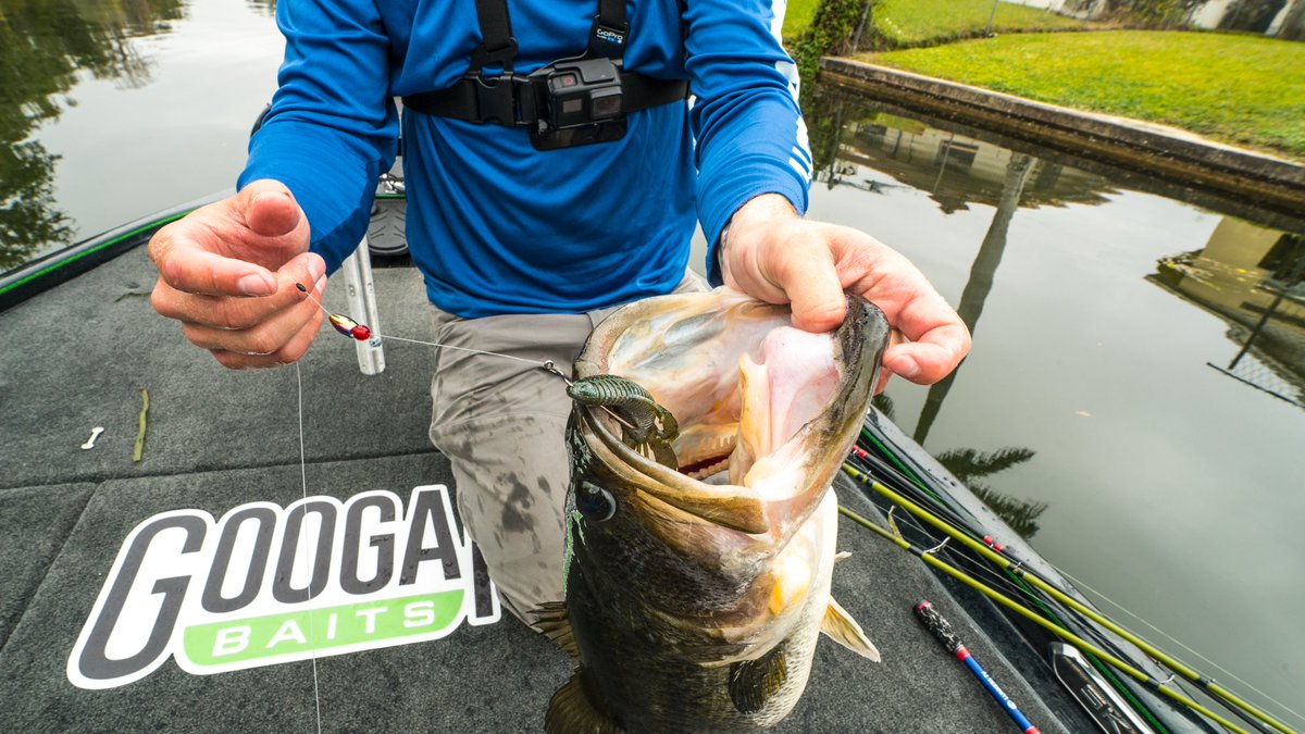 Stream Line Fishing (@StreamLineFish) | Twitter