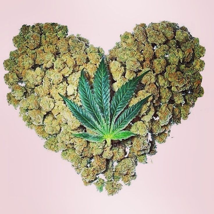 FixMyPot's tweet image. Bouquet of cannabis - Google Search buff.ly/2IdrLVn: