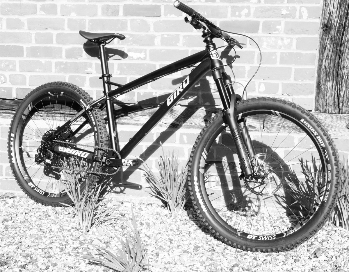 bird bike