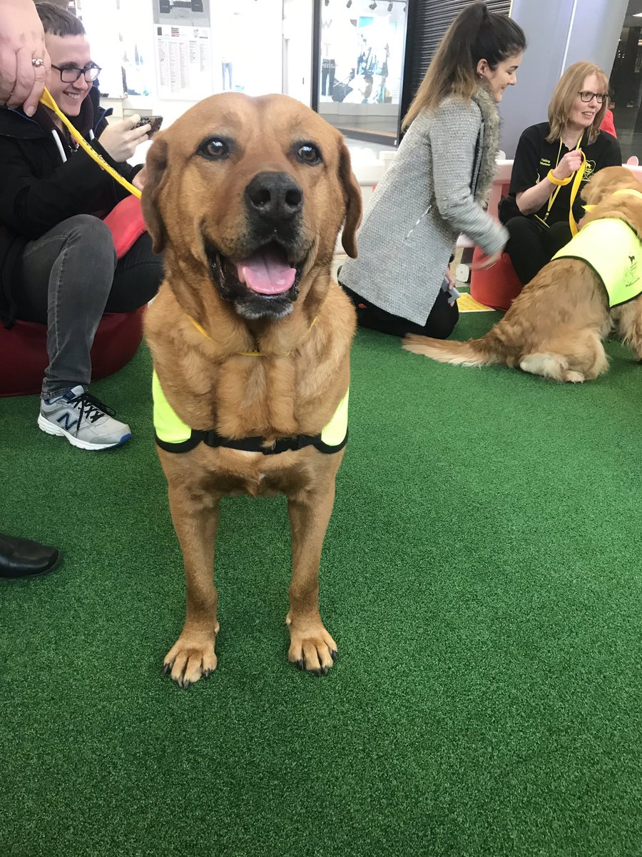 Jemma_Cullum's tweet image. Not a bad day at work😍😍