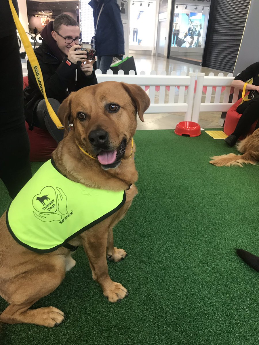 Jemma_Cullum's tweet image. Not a bad day at work😍😍