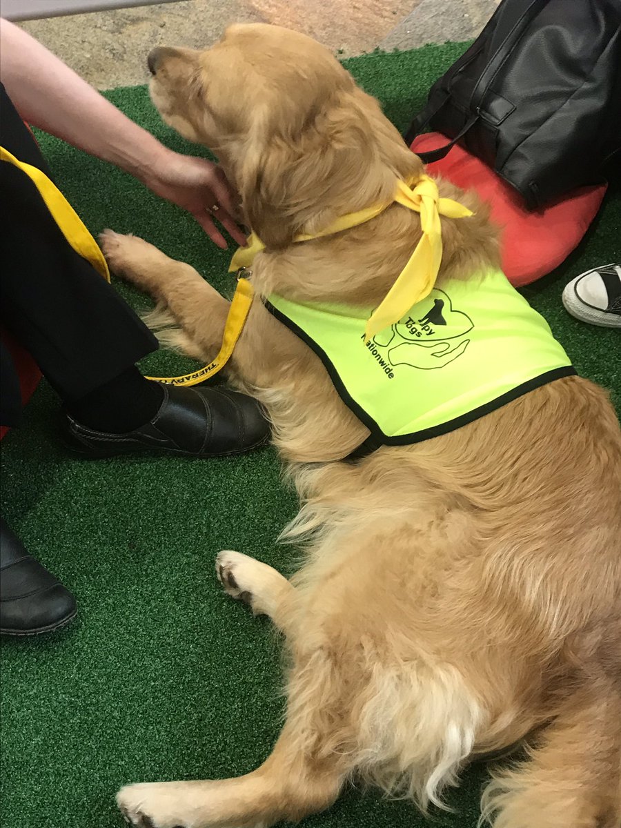 Jemma_Cullum's tweet image. Not a bad day at work😍😍