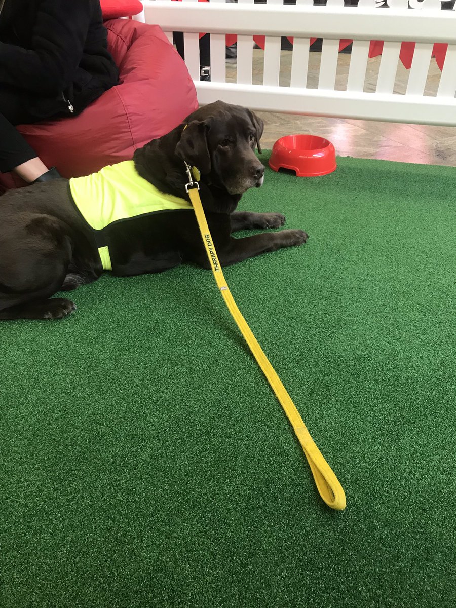 Jemma_Cullum's tweet image. Not a bad day at work😍😍