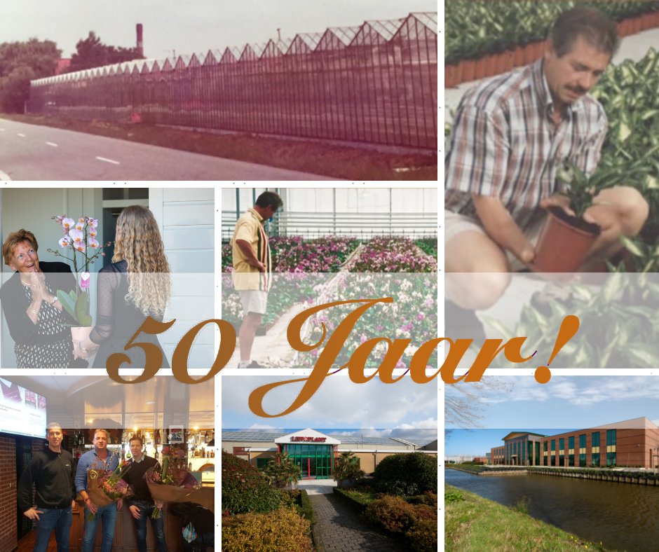 Levoplant tweet media