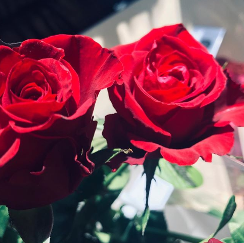 Sick of seeing Sally parading her flowers around the office? Wondering what it will take for you to receive some? Well, to be in with a chance of winning a lovely bouquet of your own, simply RT this and make sure you're following! #SelfLove #ValentinesDay #Competition #Comp