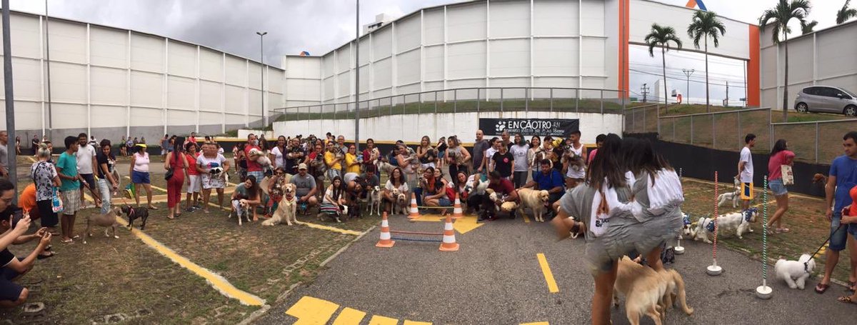 ArmazemPara's tweet photo. #Tbt encãotador da 1ª edição do @encaotro.rn 2019 realizado em nossa loja da Avenida Roberto Freire. Receber os pets sempre é motivo de muita felicidade para nós. 🐾🐶
.
#PetFriendly #Pets #Aumigos #Encaotro #ArmazemPara https://t.co/xjVC4Z4OER