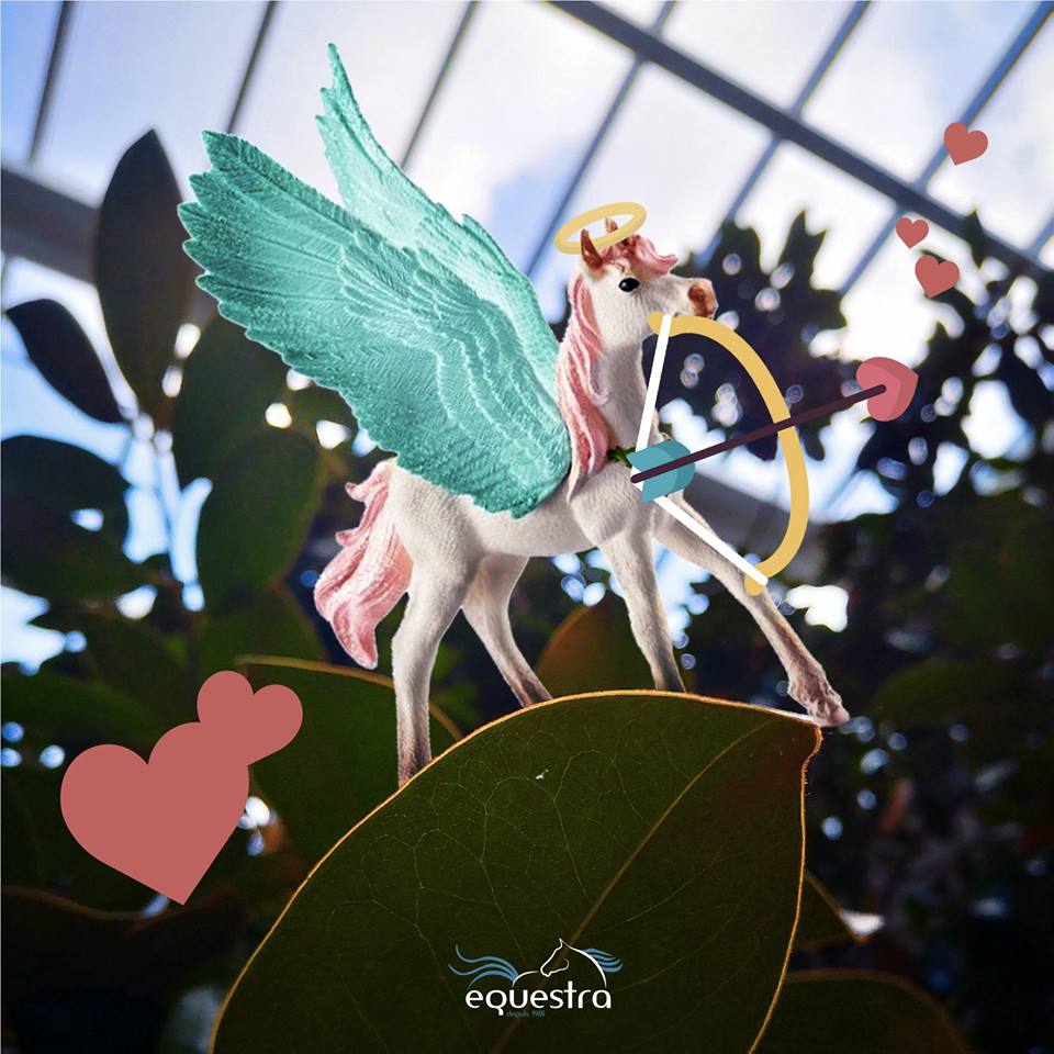 EquestraFr's tweet photo. #Equestra souhaite à tous les amoureux du cheval une 💘 JOYEUSE SAINT-VALENTIN 💘
❤️😘🤗🥰❤️
#SaintValentin #equitation #cavalier #cheval https://t.co/NCdqxxeHtS