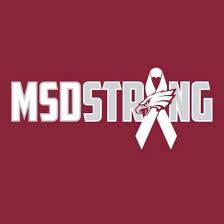 Today we remember the 17 lives lost in nearby Parkland. NSU is hosting a vigil at 5-6 p.m. Click below for more information. #MSDStrong ow.ly/ERit50lncIP