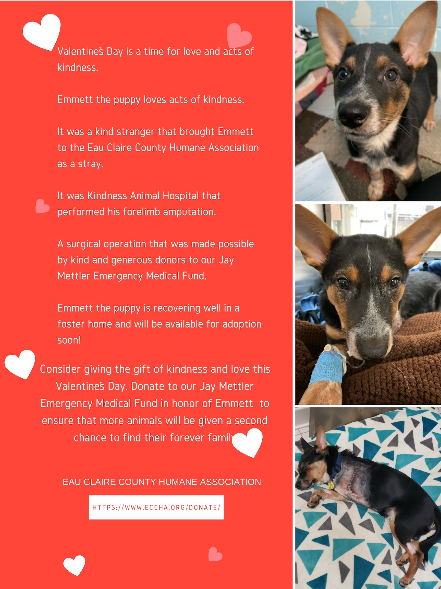 Eau Claire County Humane Association Eauclairehumane Twitter