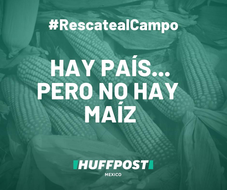 HuffPostMexico's tweet photo. #RescatealCampo Aunque se produce maíz en casi todo el país, la productividad es muy baja. ¿Qué tendría que hacer el gobierno? Esta es la 3a parte del análisis de la propuesta de desarrollo para el campo de AMLO de @SIMO_Consulting https://t.co/3XeBRp2UPP https://t.co/mEHLyD28Rk