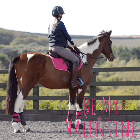 When choosing a colour scheme
We are faced with confusion 
So treat yourself and your horse
And shop our Colour Fusion!
#ValentinesDay2019