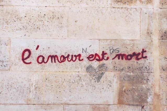 bedooneTo's tweet image. دلم می‌خواست یک دیوار بتنی داشتم، رویش با اسپری قرمز به یادت می‌نوشتم: L’amour est mort
