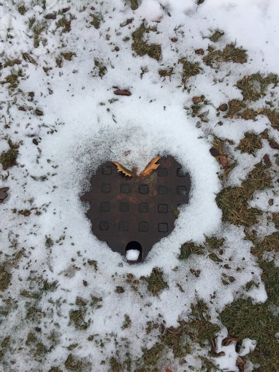 Even Mother Nature is in the Valentines spirit ♥️