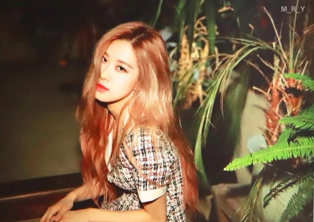 scans] blackpink 2019 welcoming collection