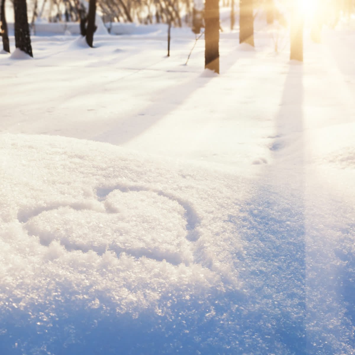 Happy Valentine's Day