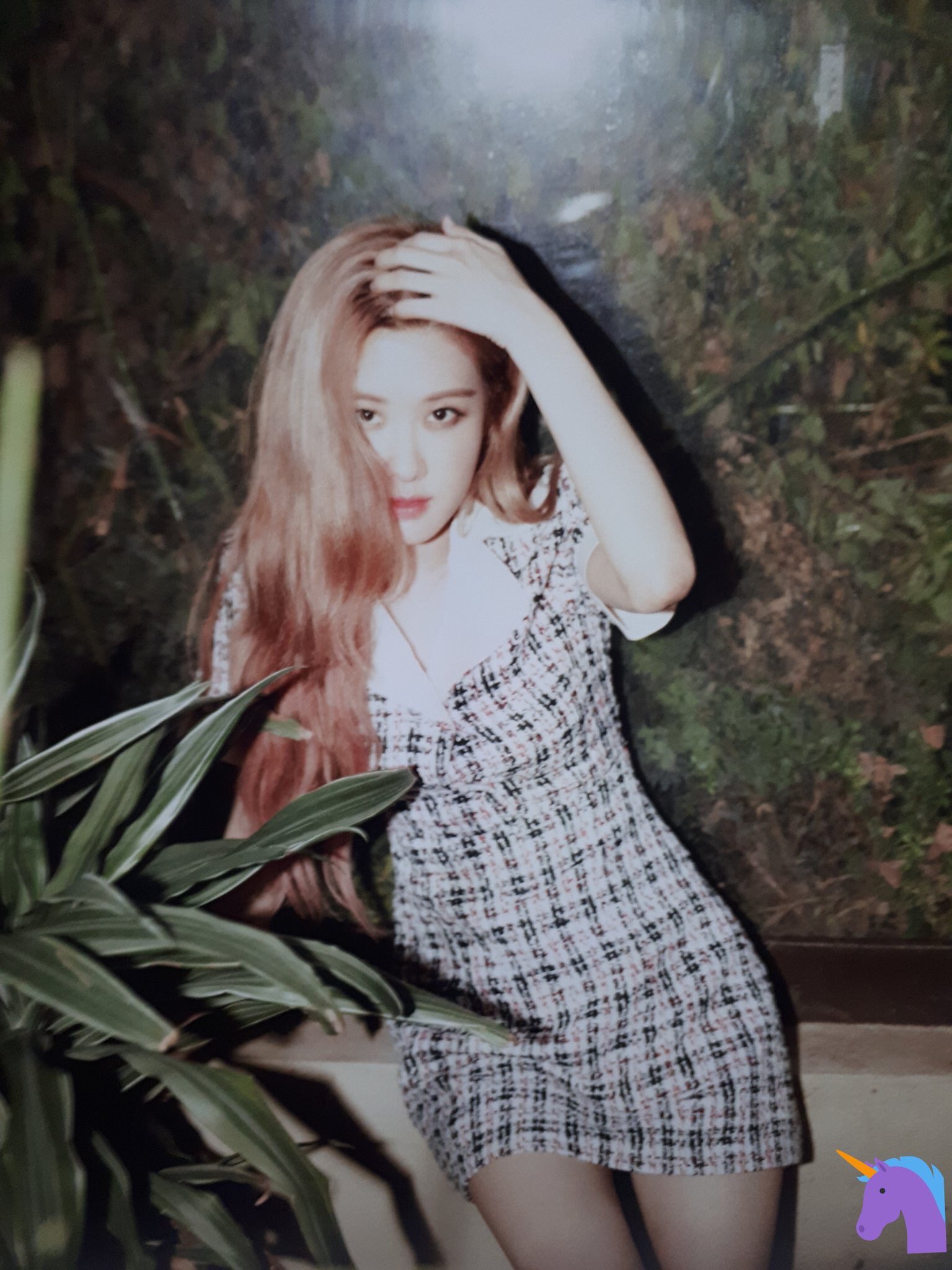 BLACKPINK ロゼ　2019 WELCOMING COLLECTION BLACKPINK - YG Entertainment Idol Goods Fan Products YG