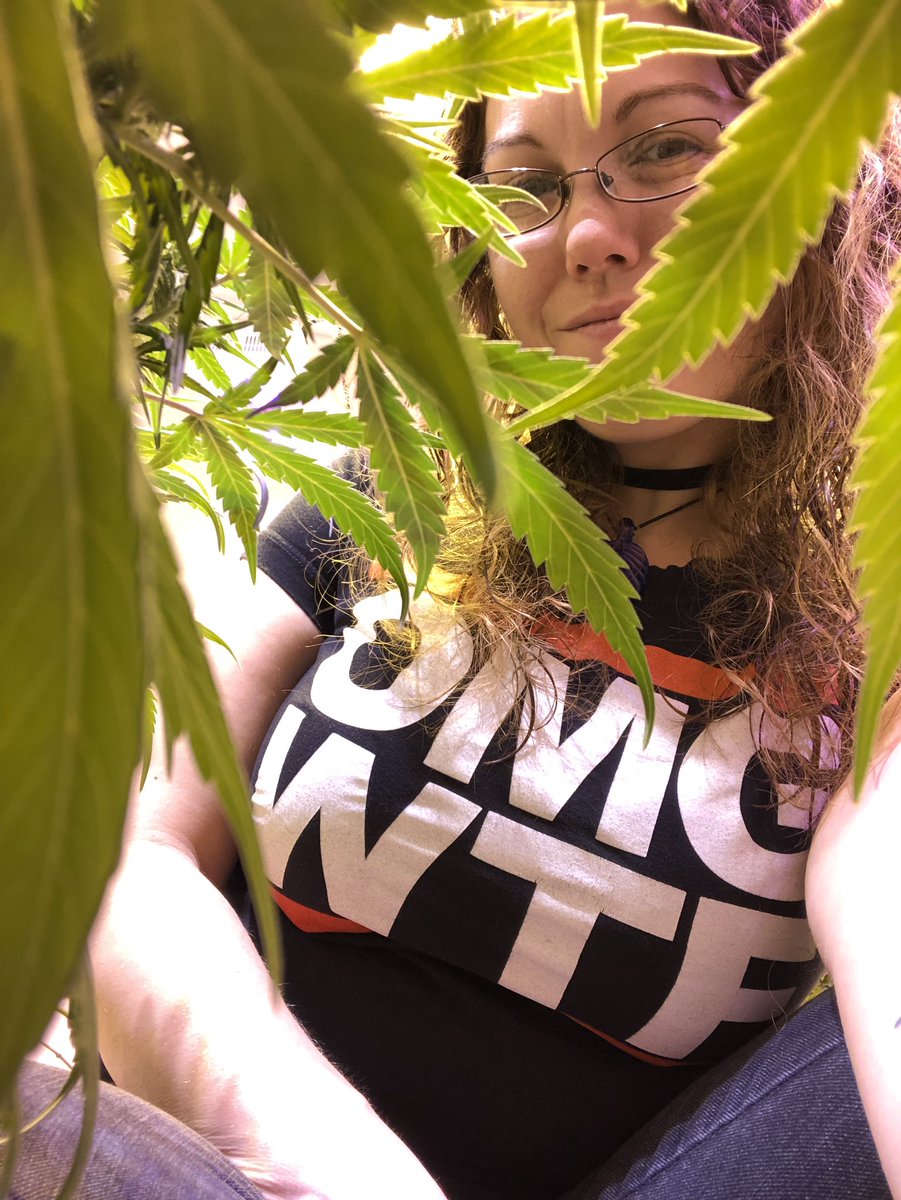 Kharizmarae's tweet photo. OMG
WTF
#mmmp
#successfulstoner
#killingthelazystonerstereotype
#goodvibes
#cannabis
#cannabiscommunity
#beautifulbuds
#girlswhogrow
#cannabisgrower
#growyourown
#staymedicated
#cannabisismedicine
#homegrown #indoorgrow
#ganjagoddess
#stonergirl
#highbeautiful
#girlswhosmoke https://t.co/qk0ZRFbNZ1