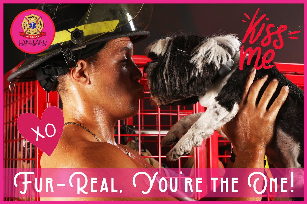 LakelandFD's tweet photo. Happy #ValentinesDay from the #LFD! ❤️👨‍🚒😍🥰😘 Show your love ❤️ on this sweet day by sharing one or all of our 11 Valentine's Day cards. These &amp; more are available at https://t.co/YeUAIOHli2.  #BeMine #Valentines #SharetheLove #Lakeland #Lkld #LFDLovesLakeland https://t.co/Ap4qEw9O5z