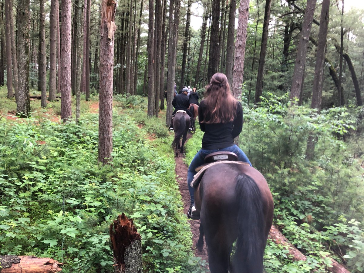 caosassociation's tweet photo. Here are some of our favorite photos from #CAOS18! I mean where else can you get a security briefing, play laser tag, and ride a horse to breakfast all in the same week? Want in on the learning and fun? Register now at https://t.co/G37kubJ2lA ! #CAOS19 https://t.co/mCKDI7CY6o