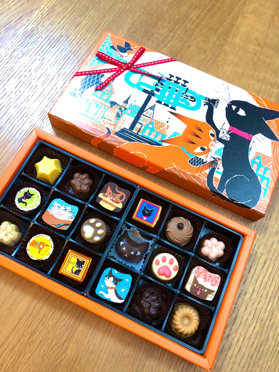 EUSOCK's tweet photo. 猫のチョコ頂きました🍫
かわい〜😽 https://t.co/yzuBQbwsE9