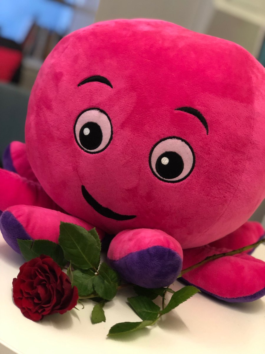 octopus energy teddy