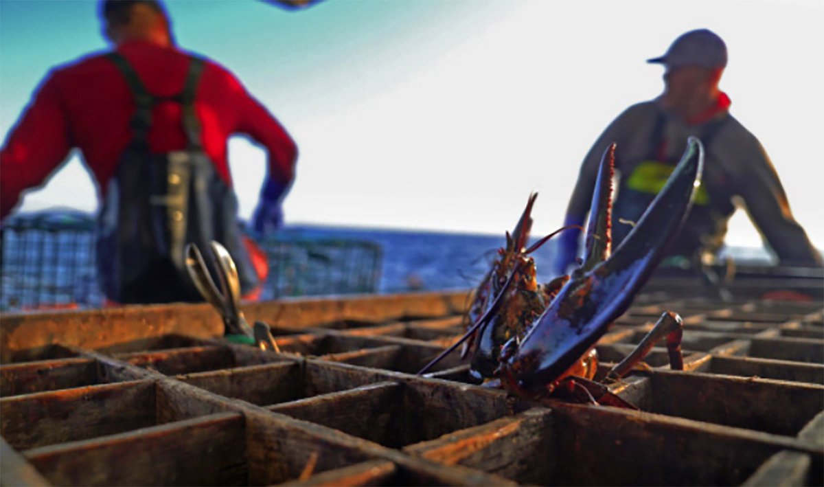 🌊The <a href="/EmersonSOC/">Emerson College School of Communication</a> co-sponsored a #documentary screening <a href="/LobsterWar/">LOBSTER WAR</a> by #Emersonians David Abel &amp; Andy Laub '09, which spotlights American &amp; Canadian #fishermen feuding over the lobster-rich 277-square-miles of sea known as the “Gray Zone.” #climatechange emerson.edu/school-communi…
