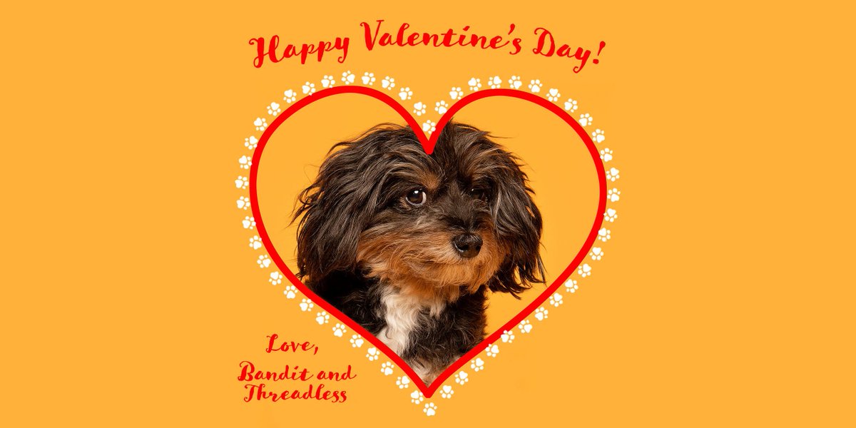 Bandit here - Happy Valentine's Day!!!!! Ruff you, mean it. 🐾