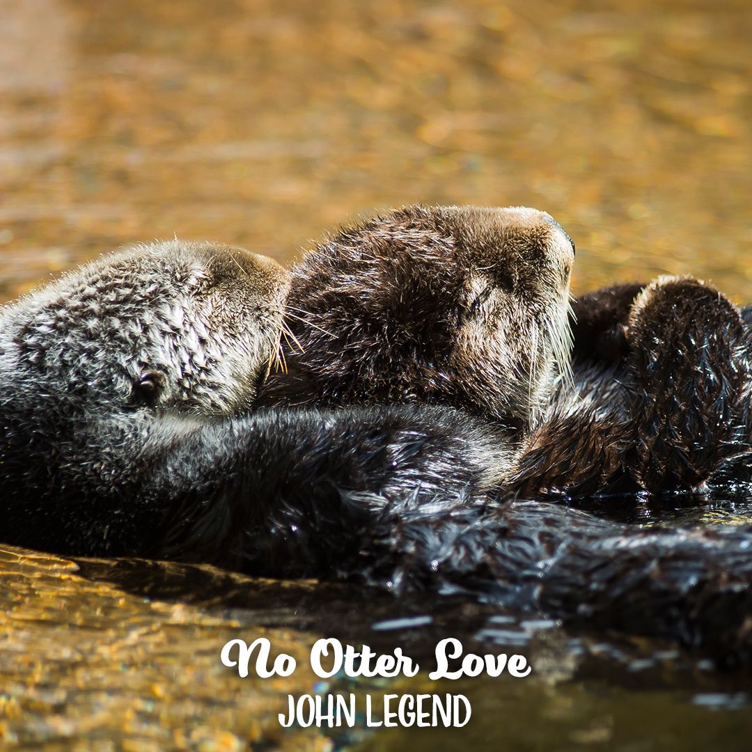 Point Defiance Zoo & Aquarium tweet media