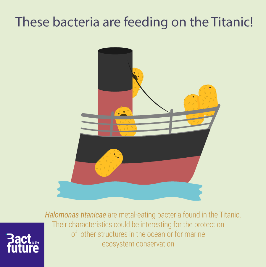 Top 62+ imagen bacteria eating titanic - abzlocal fi