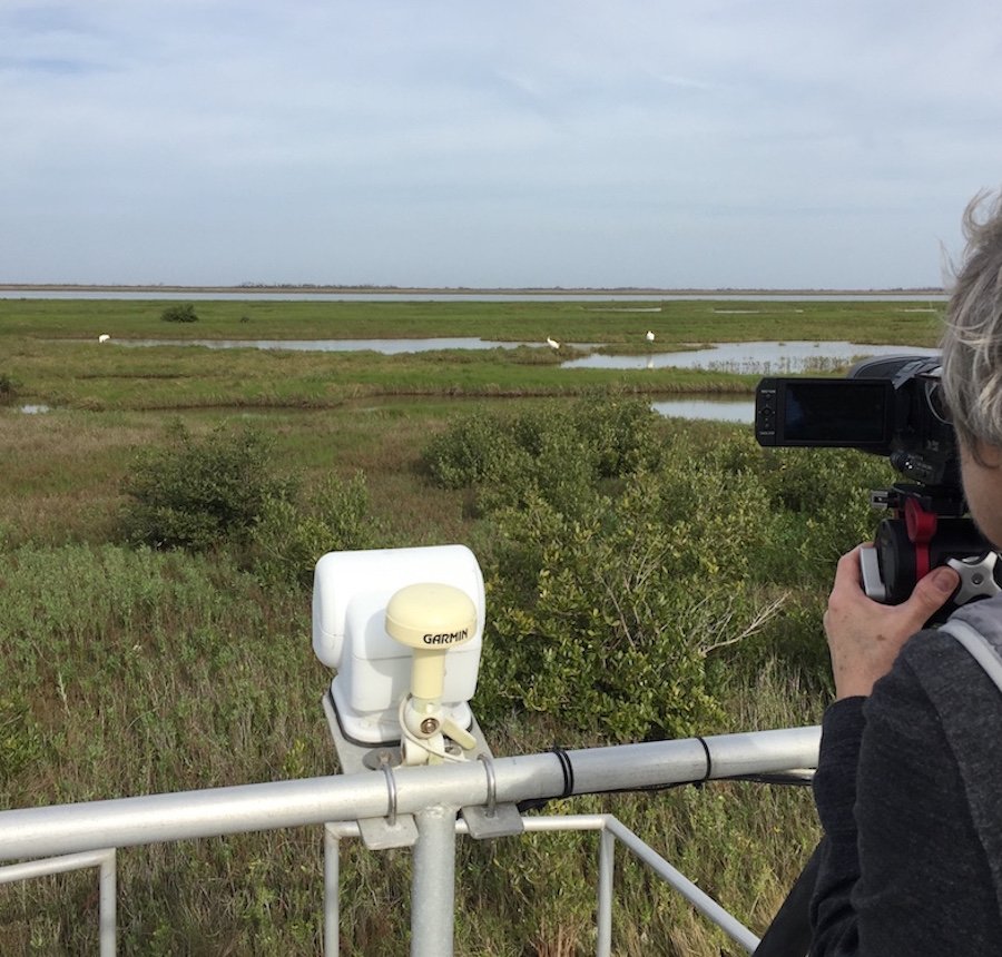 RBondarFdn's tweet image. On boat approaching #WhoopingCrane territory, Aransas NWR @USFWSRefuges. #Whoopers in wetlands straight ahead! @RCGS_SGRC 
You can learn more &amp;amp; support our #SpaceForBirds research project bit.ly/2W3RUsf
#MigratoryBirds  #SpeciesAtRisk @AMASSresearch @RobertaBondar