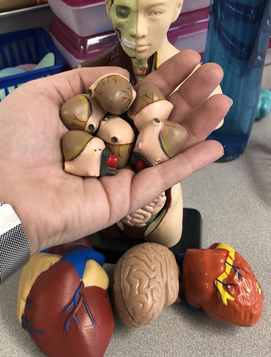 Kat Goodwin tweet media