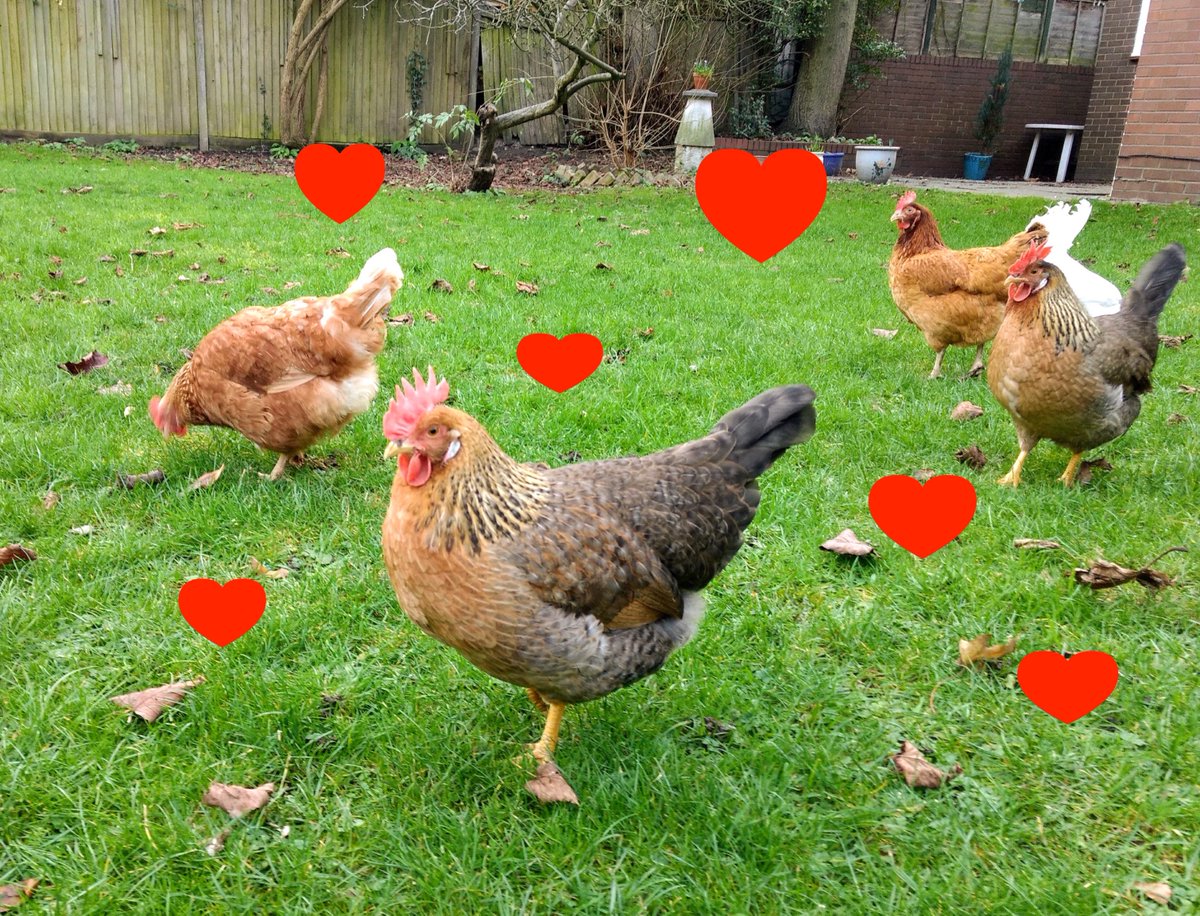 Oh, powerful love of God, how different you are from the world's love! This latter love doesn't want company since company would oblige it to give up what it possesses. In the case of the love of my God, the more lovers that love knows there are, the more it increases #Valentines