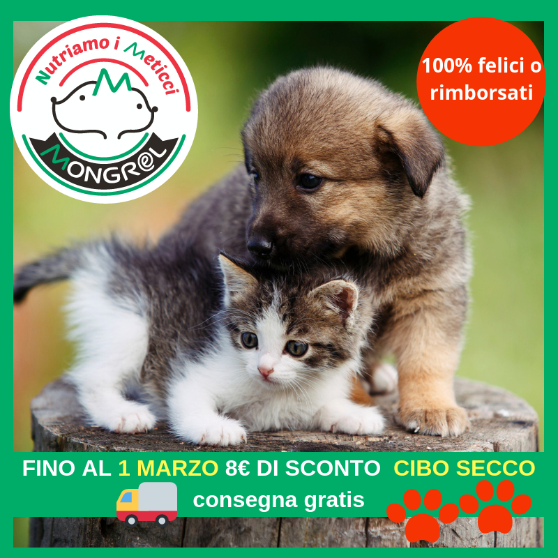 mongrelpetcom's tweet image. Fino al 1 Marzo al tuo #Cane e al tuo #Gatto puoi far provare gli Alimenti
Mongrel della linea SECCO con l’offerta del mese. Garanzia 100% Felici o
rimborsati, e consegna gratis per ordini superiori a 49€. Vai allo shop:
mongrelpet.com