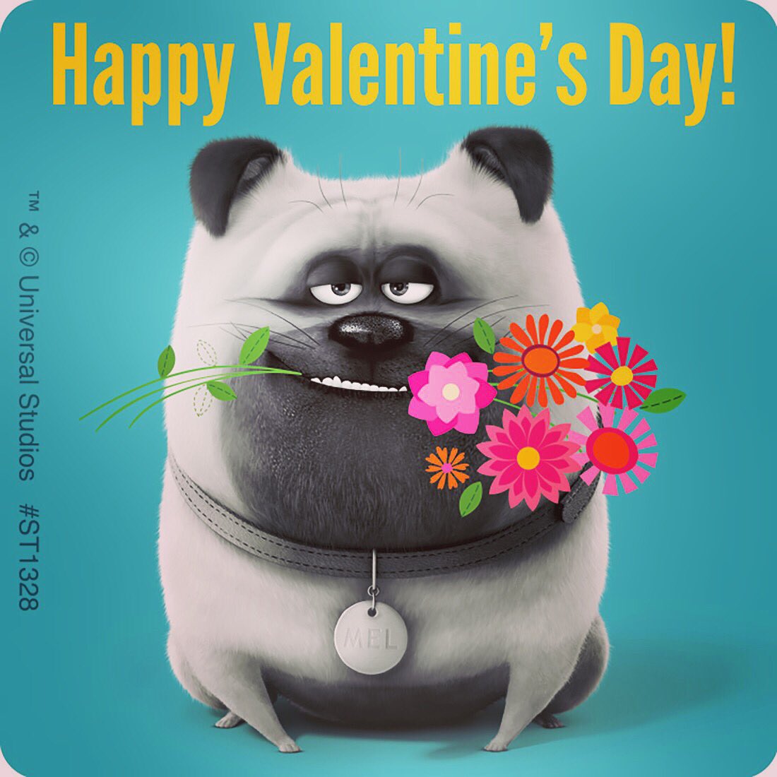 Happy Valentine’s Day! ❤️🐾

#happyvalentinesday #chicago #veterinary #ValentineDay #veterinarymedicine #fundraiser