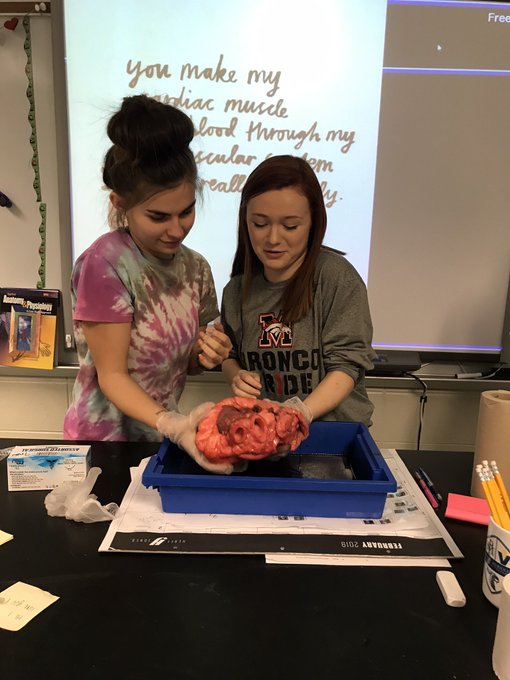 our hearts moo for love and friendship❤️❤️ @ravenestelle_ https://t.co/Z08AgLG6hI<a class="tags" target="_blank" title="On Twitter" href="/?out=eyJ0eXAiOiJKV1QiLCJhbGciOiJIUzUxMiJ9.eyJpYXQiOjE3MjU2MDg2NTEsImlzcyI6InR3cG9ybnN0YXJzLmNvbSIsIm5iZiI6MTcyNTYwODY1MSwiZXhwIjoxNzU3MTQ0NjUxLCJyZWRpcmVjdF91cmwiOiJodHRwczovL3R3aXR0ZXIuY29tL3JhdmVuZXN0ZWxsZV8ifQ.OXVtQfTTcw0zErU11nzJUqVRKOh52hE7XWs78MA19nlAOiPoxcDSzf4YhJ3HH_6l8Zv41RKWfONJCBm1eWAdQA">@ravenestelle_</a>