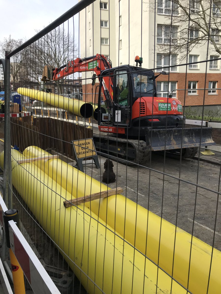 Watching a spaniel watching a digger. Haven’t moved for a while now.