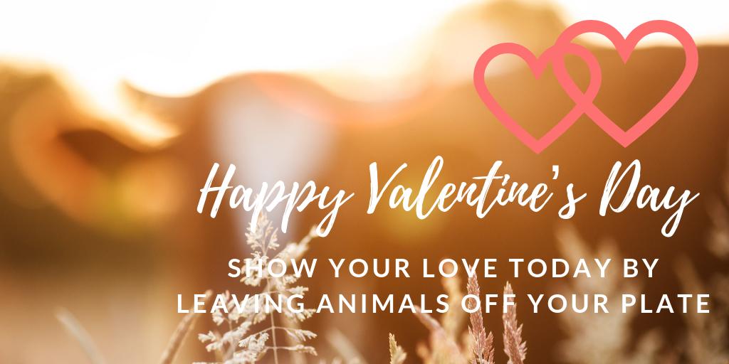 TodaysVegan's tweet image. Happy Valentine's Day!  Show your love today by leaving animals off your plate. ❤️ 🐮🌎  #HappyValentinesDay #veganvalentine #showyourlove #todaysvegan