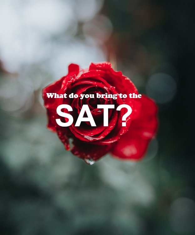 SolutionSkills's tweet photo. Happy Valentine's Day! SolutionSkills is spreading the love by letting you know what YOU need to bring to the SAT on March 9th, 2019!

SAT Checklist Link: https://t.co/99lV5V6aT7 https://t.co/hQjUgXpWej