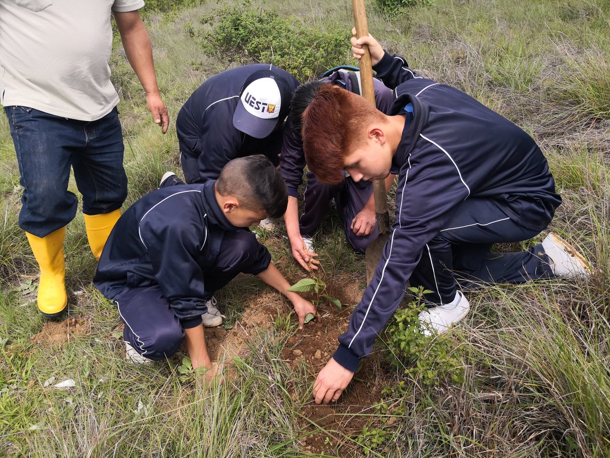 MBosqueSeco's tweet photo. #Celica #ProyectoRestauraciónForestal | Estudiantes de la #UEST realizan la siembra de plantas forestales nativas en sector #Motilón sitio estratégico de recarga hídrica para el cantón con apoyo de @gadmdecelica. Proyector financiado por @PNUDEcuador @PROAmazoniaEC @Ambiente_Ec https://t.co/BCbjRiUzzX