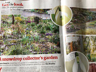 Who says winter gardens are boring? See the Feb 16 edition of Amateur Gardening <a href="/TheAGTeam/">Amateur Gardening</a> for a stunning plot in Bedford, with beautiful photos by Anna Omiotek-Tott